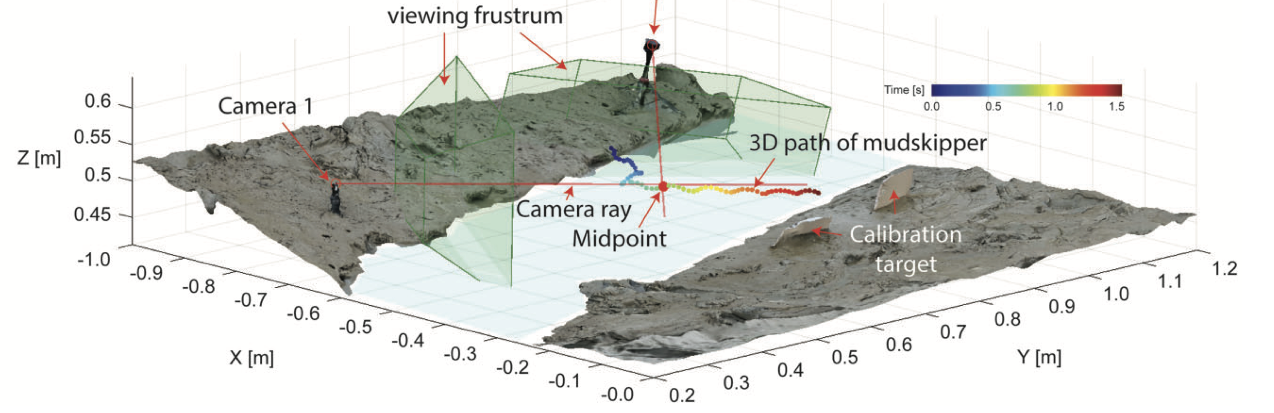 Stereo camera 3D tracking setup in Brunei, Borneo