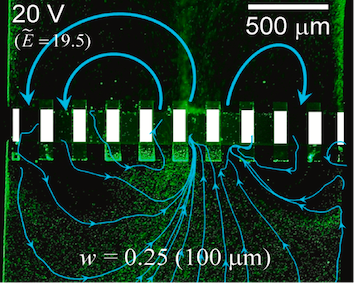 Electroconvective membrane