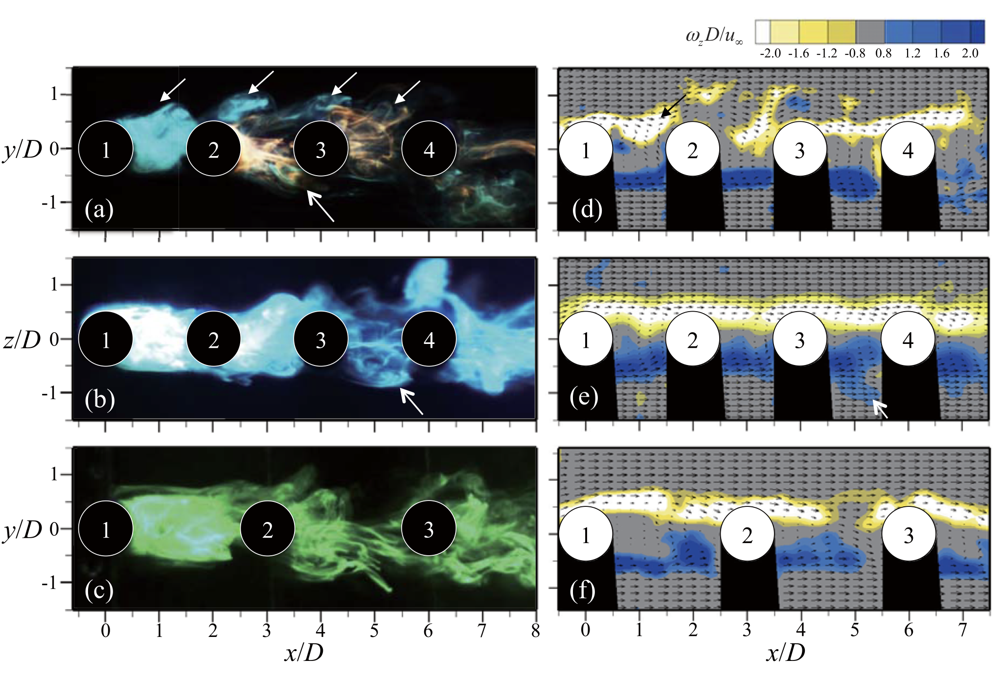 Dye visualization and PIV